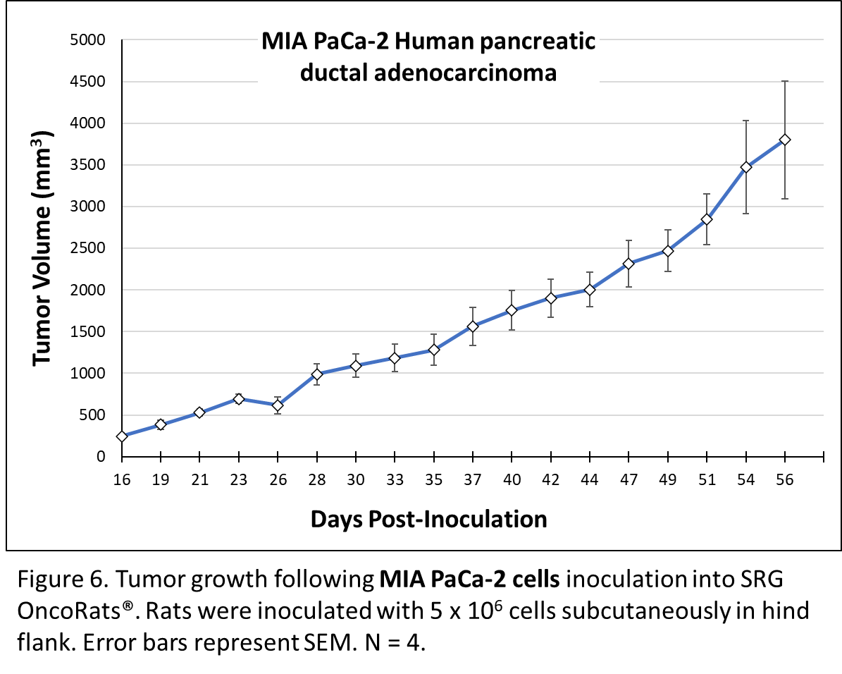 Hera - Blog - In vivo targeting of mutant KRAS using human cancer xenografts in the immunodeficient SRG OncoRat® - Figure 6