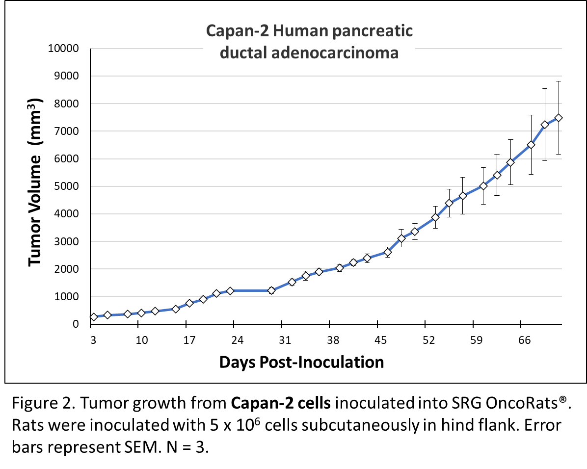 Hera - Blog - In vivo targeting of mutant KRAS using human cancer xenografts in the immunodeficient SRG OncoRat® - Figure 2