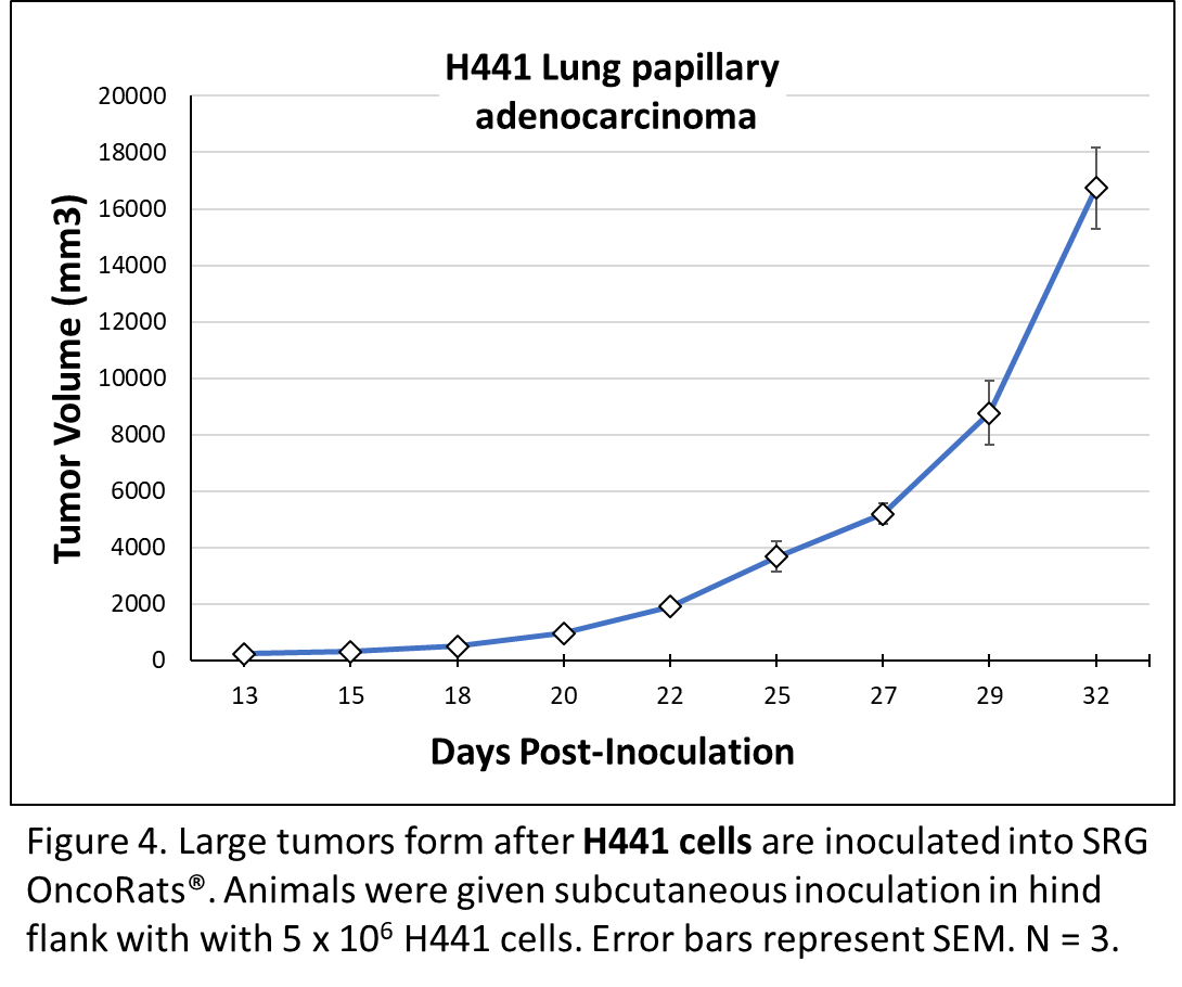 Hera - Blog - In vivo targeting of mutant KRAS using human cancer xenografts in the immunodeficient SRG OncoRat® - Figure 4