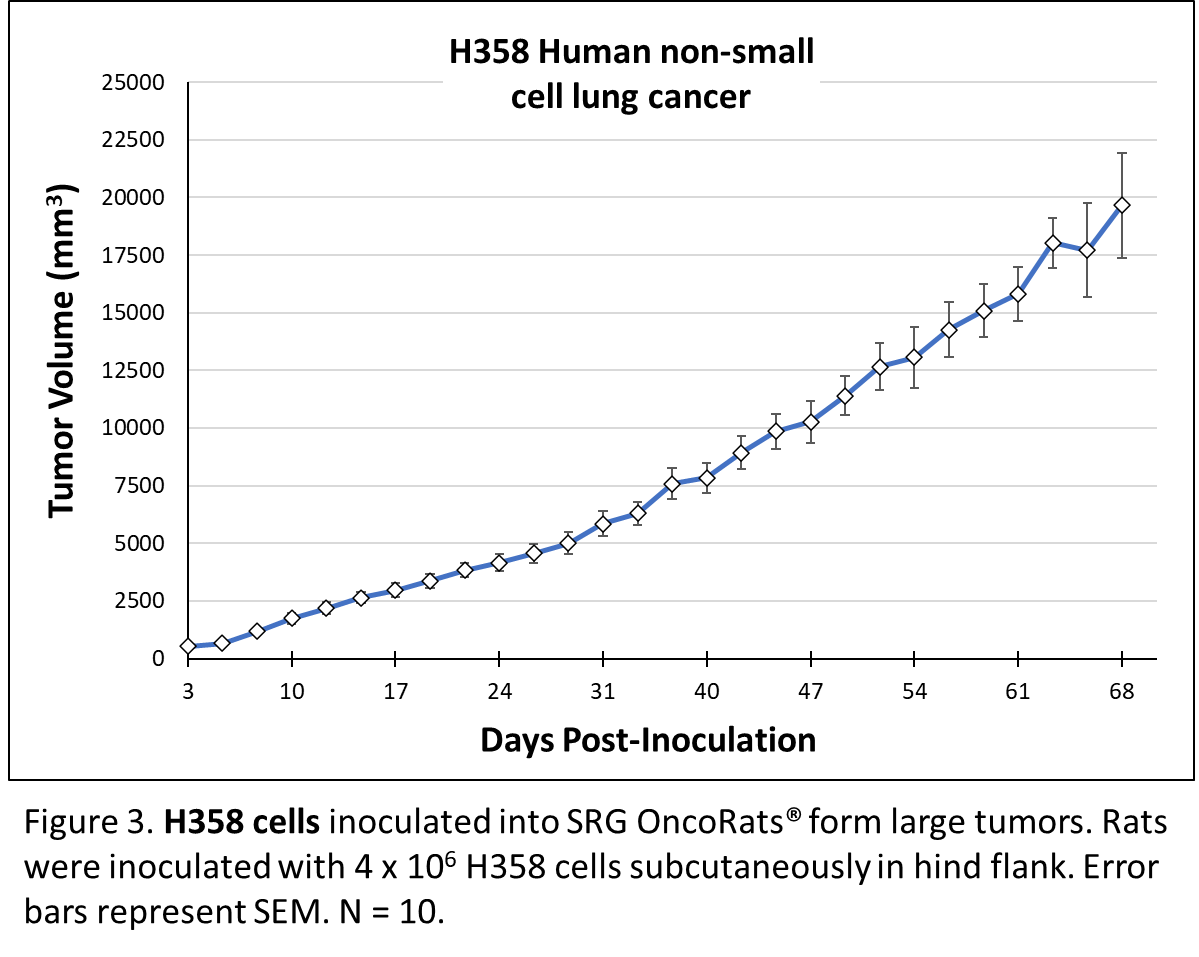Hera - Blog - In vivo targeting of mutant KRAS using human cancer xenografts in the immunodeficient SRG OncoRat® - Figure 3