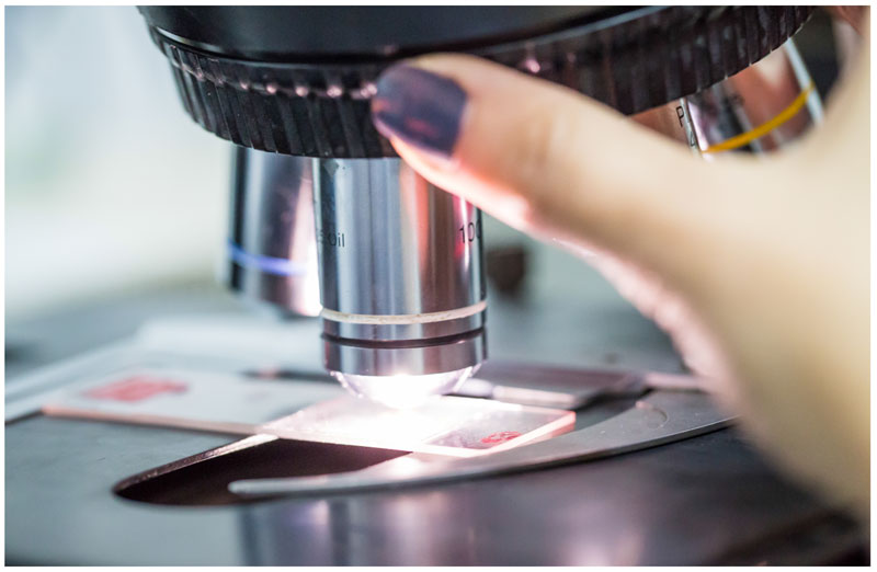 microscope for quantitative analysis of toxicity