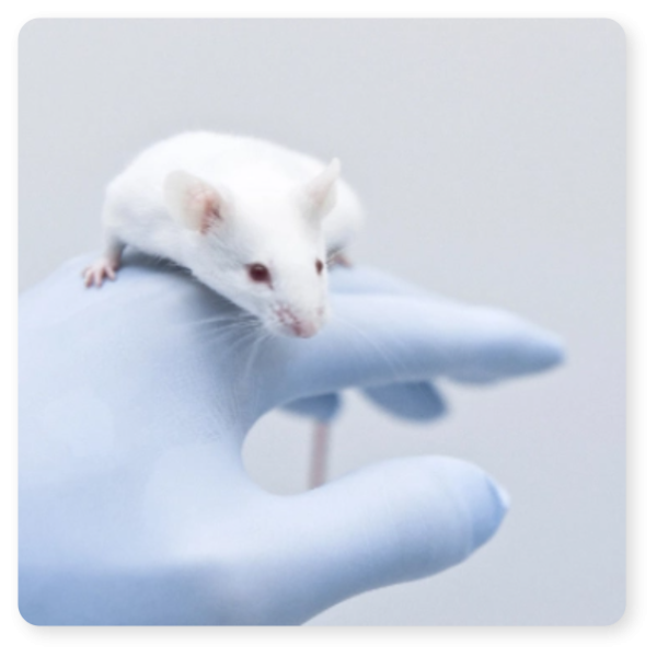 We Accelerate Preclinical And Biotechnology Research