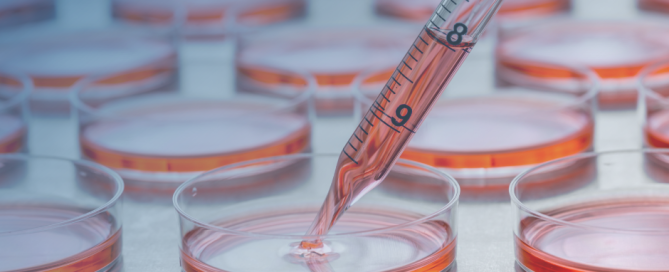 MCF-7 Breast Cancer Cell Line