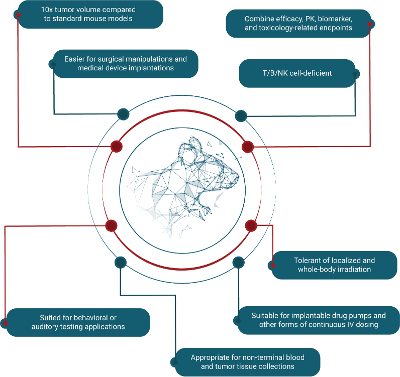 Infographic3