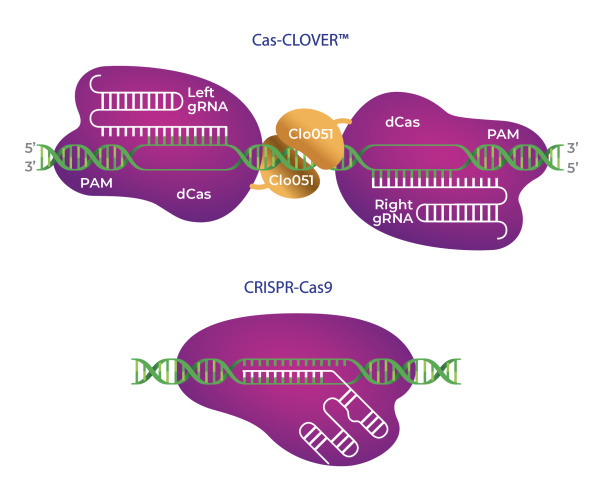 Cas-Clover vs CRISPR