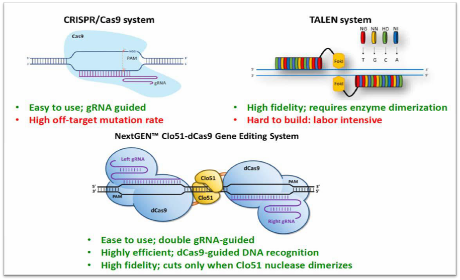 Crispr Cas9