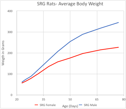 Wistar Rat Growth Chart