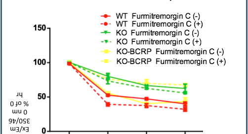 Cell Efflux Assay Results