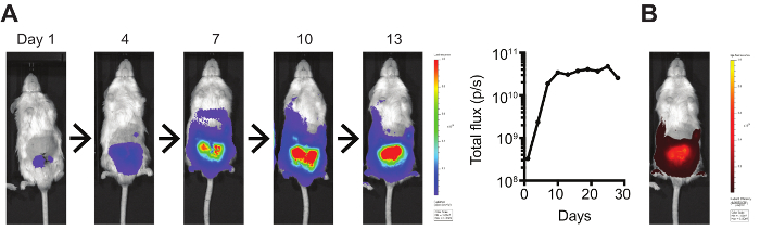 IVIS® Spectrum In Vivo Imaging System