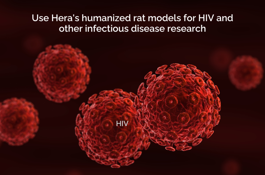 Hera BioLabs - Blog - Emerging Trends Utilizing Humanized Rat Models for Investigating Strategies Against HIV and Associated Pathologies