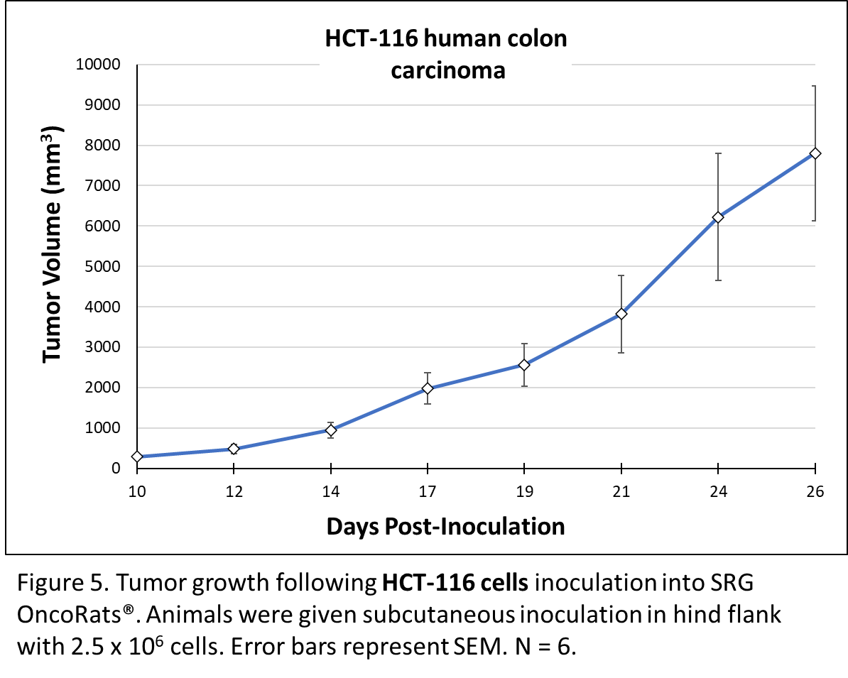 Hera - Blog - In vivo targeting of mutant KRAS using human cancer xenografts in the immunodeficient SRG OncoRat® - Figure 5