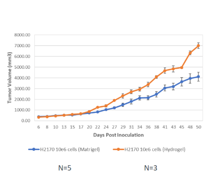 Vitrogel vs. Matrigel tumor growth in H2170 lung cancer cell line